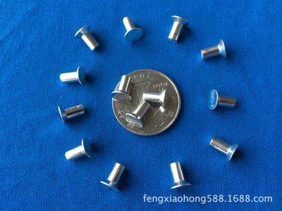 【鉚釘,緊固件五金制品】價格,廠家,圖片,鉚釘,東莞市鳳崗豐順五金廠-